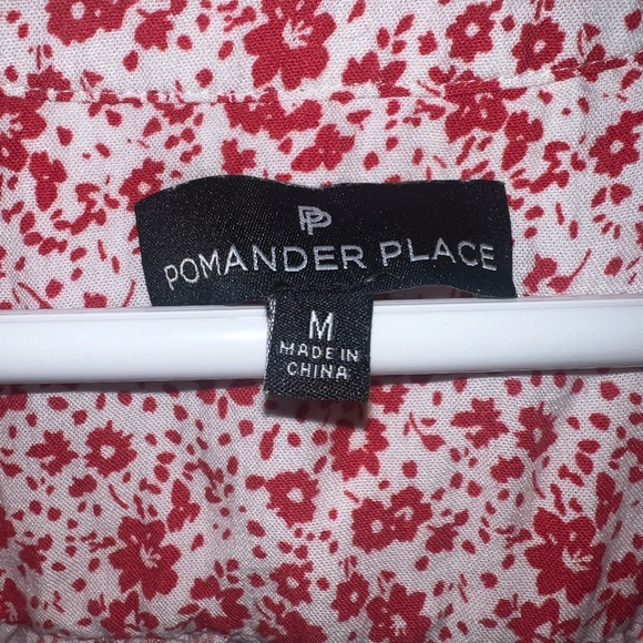 Pomander Place dress - Picture 7 of 9